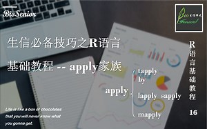 生信必备技巧之Ｒ语言基础教程—apply家族02