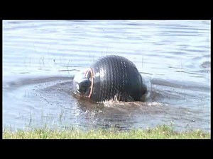 Spherical Amphibious Robot At The U.S. Marine Corps | GuardBot