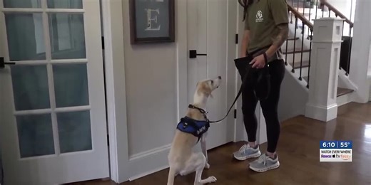 Winchester woman and her rescue dog offer alternative approach to mold inspection