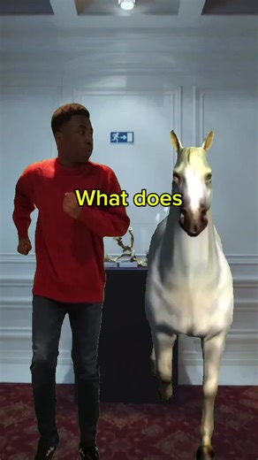 Dog Agility Training: Boost Mobility and Skills