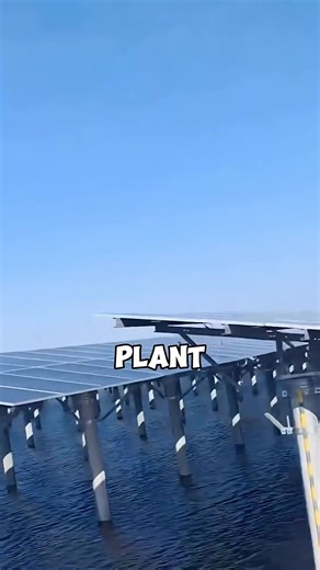 #The -Floating-Solar-Installation-That#tiktok #unfreezemyacount #watch #foryou