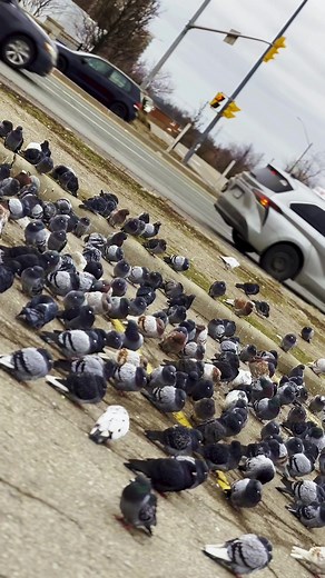 I FILMS (@infinityfilmsproduction)’s videos with original sound - I FILMS