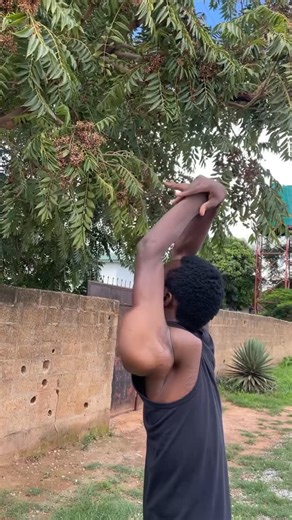 Obvi Ous on Instagram: "Rate the accuracy 1/10?😅 Follow 🙏🏾👉🏾 @the_boneless_squad #obviousthabonebreaker #flexibility #dance #omg #moves #flexn #contortionist #bonebreakingdance #trendingreels #viralvideos"