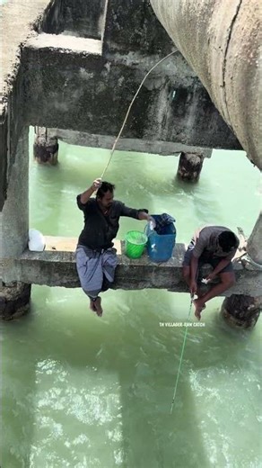 Traditional Bamboo stick fishing under bridge! #fishing #fishingvideo #fishinglife