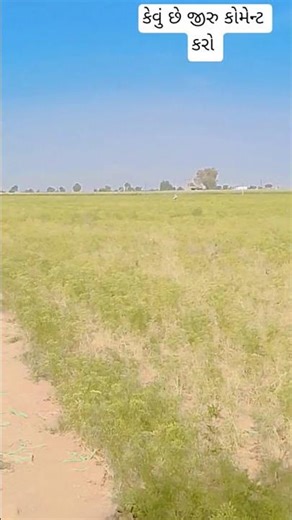 ખેડુત આ વીડિયો ને સબસ્ક્રાઇબ કરો