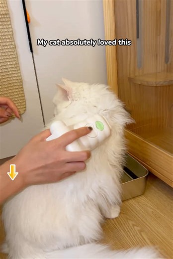 Review of Def Worth It Steam Desheds with Rotating Wipes