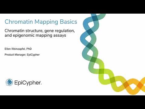 Chromatin structure, gene regulation, and epigenomic mapping assays