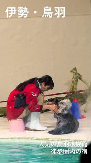 戸田家｜伊勢志摩旅館 / 鳥羽温泉郷 on Instagram: "ナイトアクアリウム楽しそう！と思ったら 「🦦」の絵文字でコメントしてね♪ ＼伊勢志摩・鳥羽の旅なら、戸田家を拠点に！／ 12月3日（水）〜5日（金）の3日間、大人気の「鳥羽水族館ナイトアクアリウム」が開催されます✨ 戸田家から鳥羽水族館までは、車で約3分・徒歩13分とアクセス抜群！ 行く予定の方はもちろん、「今年は行けないけど、来年こそは行きたい…！」という方も、 ぜひこの動画で雰囲気を楽しみながら、周辺観光の参考にしてくださいね♪ 今回のリールは昼間の映像でお届けしていますが、 ナイトアクアリウムでは、昼には見られない動物たちの姿が楽しめるかも…？✨ 行かれる方は、ぜひ特別な夜を満喫してきてください🌙 これからも伊勢志摩・鳥羽の観光情報を定期的に発信していきますので、旅の計画にぜひお役立てください😊 ————————— 伊勢志摩の味覚や湯めぐりが楽しめる絶景温泉宿「戸田家」 ご予約はプロフィール @todaya_toba のURLから！ ご宿泊の際は、@todaya_toba をタグ付けして みなさまの思い出を