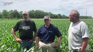 6.4K views · 28 reactions | Matt Miles and Robb Dedman talk with Dan Poston, Director of Agronomy for Pivot Bio about overcoming the challenges of nitrogen management in cereal crops like corn. #Proven | XtremeAg.farm | Facebook