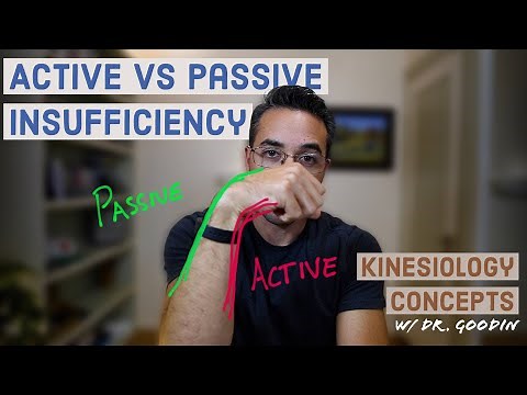 Active vs Passive Insufficiency Explained Simply