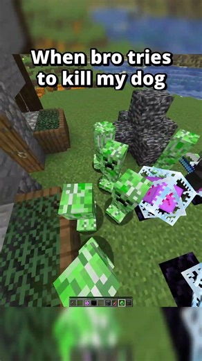 My friend will NEVER kill my dog! 😂 #minecraft