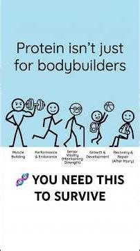 Protein Explained Simply: Why Your Body Can't Live Without It 💪🧬