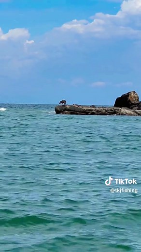 Healing mat 🗿 #fyp