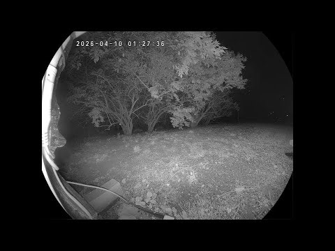 Critter Cam TV Channel 67: Cam 3