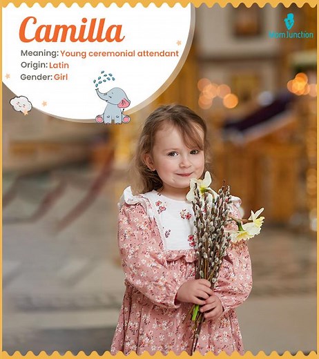 Camilla Name Meaning: Origin, History & Comprehensive Guide