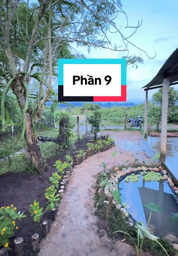 Cải tạo sân vườn và nuôi cá cho nhà mới
