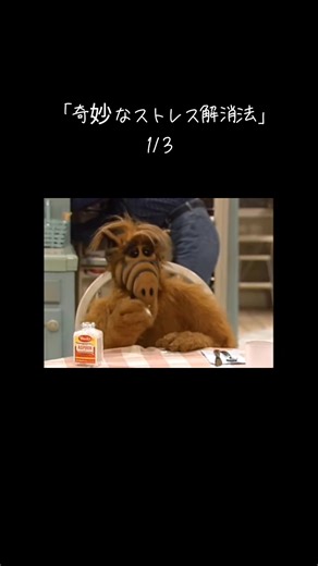 奇妙なストレス解消法 - アルフの魅力