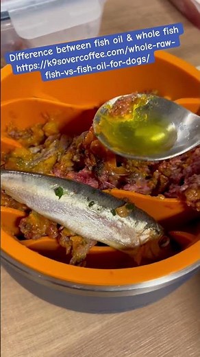 Fish oil or whole fish for your dog? #rawdogfood