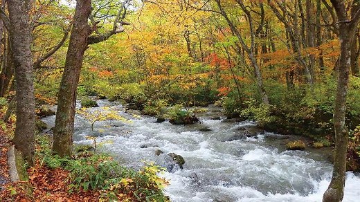 さわやか自然百景