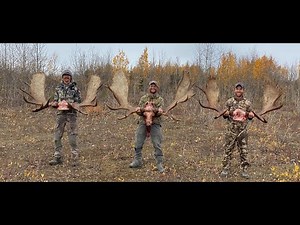 Alaska Moose Hunt! 3/3