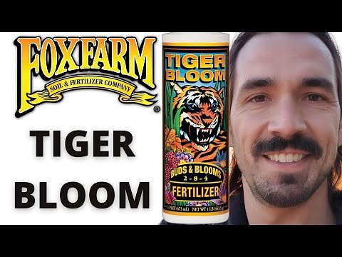 Fox Farm Tiger Bloom