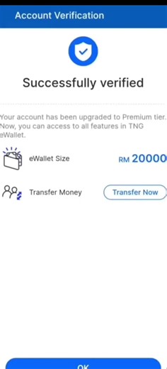 TNG E-Wallet Verification Explained in Detail