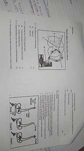 Question 22.1 Study the diagram below, which shows a reflex a... | Filo