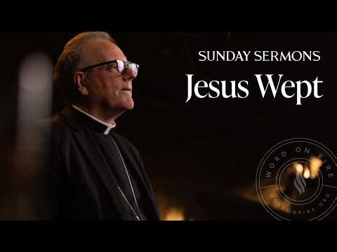 Jesus Wept - Bishop Barron's Sunday Sermon