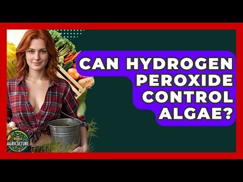 Can Hydrogen Peroxide Control Algae? - The World of Agriculture