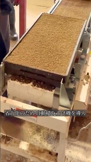 【省力】水稲苗の箱積み 自動化で負担軽く