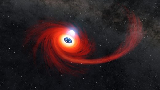 How Black Holes Consume Entropy
