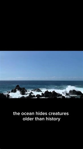 The Ocean Hides Creatures Older Than History
