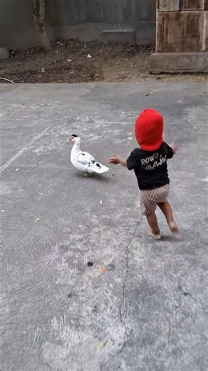 Cute Kid Chasing a Duck 🐥😂 | Viral Short #KidVsDuck#FunnyShorts#CuteMoments#ViralShorts#FunnyKids