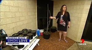 20K views · 625 reactions | My One Nation candidate Matthew Stephen...