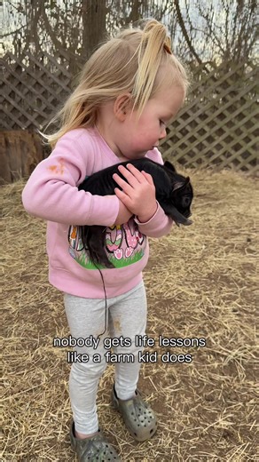 Caring for a Newborn Piglet on the Homestead