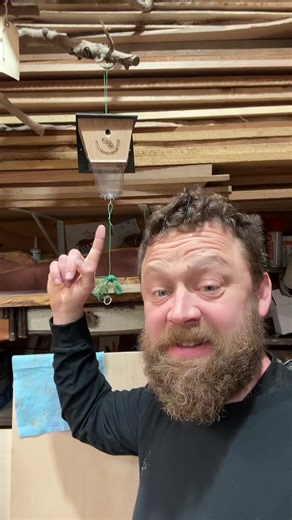 Carpenter Bee Trap: Effective Solution