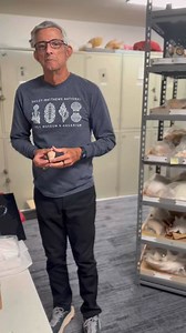 Learn about the wonderful Alphabet Cone (𝘊𝘰𝘯𝘶𝘴 𝘴𝘱𝘶𝘳𝘪𝘶𝘴) with Dr. José Leal. Have you ever found one in Florida? #shells #shellmuseum #alphabetcone #shelling #SWFL #visitflorida #sanibel #sanibelisland #sanibelcaptiva | Bailey-Matthews National Shell Museum & Aquarium