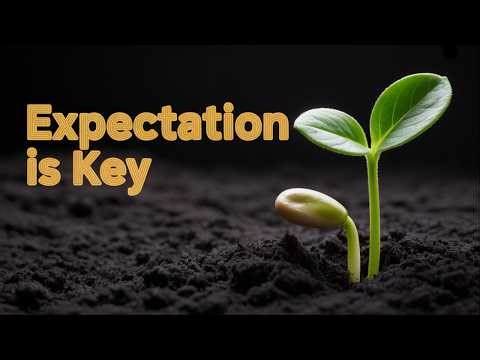 Why Expectation Is the Most Underrated Force in Male Success