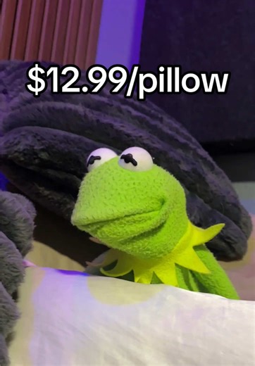 $12.99 a pillow 💰 #fyp #kermit #elmo #sleepover #puppets | 12.99 a pillow