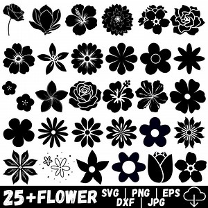 Cute Flowers Svg Png Mega Bundle, Flower Svg, Flowers Svg, Flower Designs for Shirts, Flower Cut Files, Vector Files, Cricut, Svg, Png - Etsy