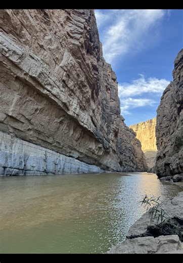 One Step at a Time: Embracing the Hiking Journey