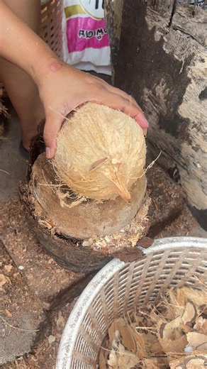 #coconutmilkByNamAoy #fyp #asmr #มะพร้าวกะทิ | asmr video