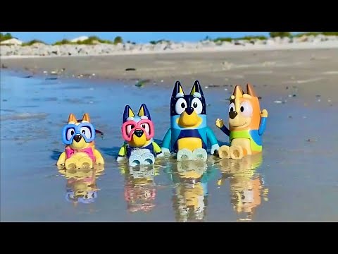 Bluey's Sunny Adventure Full Episodes ☀️ | Featuring The Pool, The Beach, and More! | Bluey
