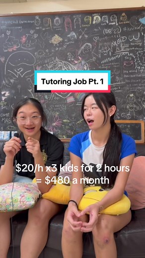 Student Tutoring Experience and Earnings Revealed