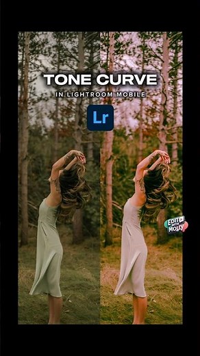 Tone Curve in Lightroom Mobile | Easy Color Grading Tutorial