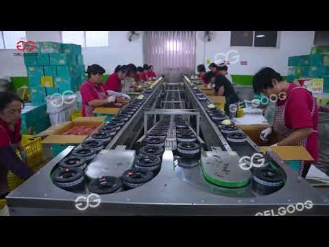 Fruit Washing Grading Packaging Processing Plant