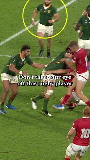 Underrated Rugby Star Cobus Reinach Highlights