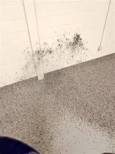 Installing Poolside Flooring: Step-by-Step Guide