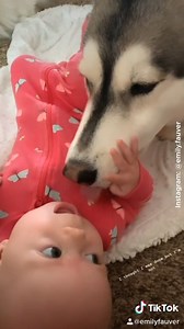 16M views · 241 reactions | Maverick the husky and Ella the baby have been inseparable since the day they met  | Good Housekeeping | Facebook