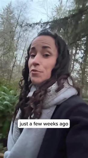 this small core joins our culture library of 100 strains at Fungi Perfecti, LLC, where samples are cloned, studied, and maintained under rigorous lab conditions. Protecting genetic diversity is part of our ongoing commitment to sustainability and fungal stewardship. Curious how this field research connects to what we do next? ➡️ Follow @hostdefense to learn how species like Agarikon are featured in our mushroom mycelium-based supplements.